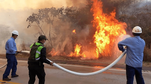 Gobierno boliviano bajo críticas por respuesta tardía a incendios