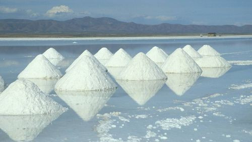 Investigador boliviano utiliza bacteria del Salar de Uyuni para crear bioplásticos a partir de residuos de quinua  Investigador boliviano utiliza bacteria del Salar de Uyuni para crear bioplásticos a partir de residuos de quinua
