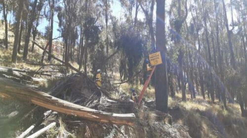 La Paz: Dos mujeres y un varón fueron encontrados sin vida en los últimos tres días