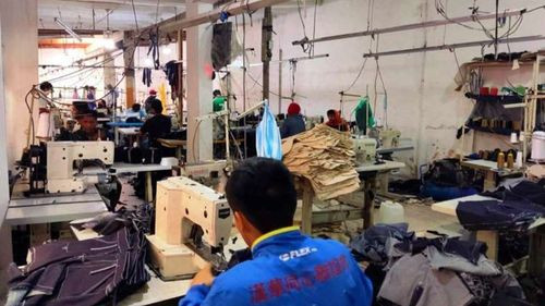 Propietarios de taller de costura obtienen medidas sustitutivas en caso de explotación laboral