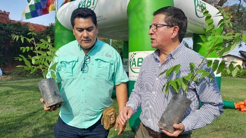 Día Nacional del árbol en Bolivia: Más de 5 mil plantines para incentivar la reforestación