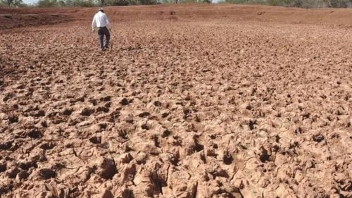 Tarija: Yunchará enfrenta sequía que amenaza a la producción y animales