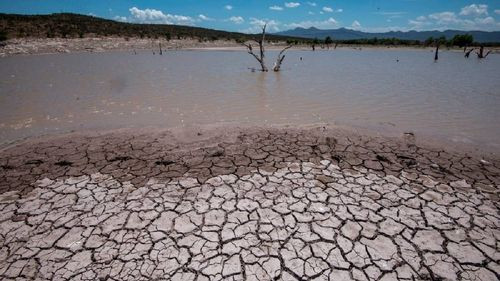 Sube a 611.251 la cifra de familias afectadas por la sequía y a 133 los municipios en desastre
