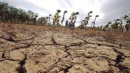 Agro alerta que si la humedad no mejora no habrá cultivos hasta 2024
