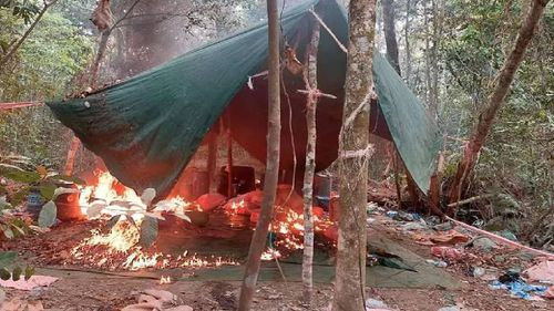 La FELCN destruye 20 fábricas de cocaína en la provincia Chapare