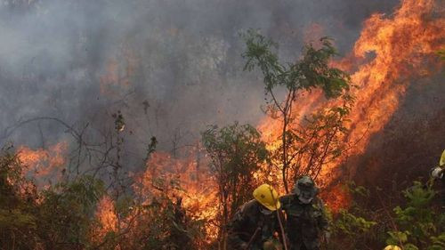 Bolivia enfrenta incendios en 5 regiones y se ubica en el podio de los focos de calor a nivel mundial