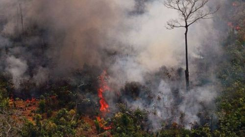 Incendios Disminuyen y Choquehuanca Exige Sanciones para los Responsables