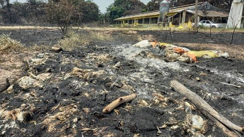 Incendio devastador en Valle Sánchez