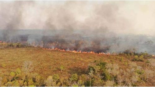  Gobernación de Santa Cruz Solicita Intervención Aérea para Controlar Incendio en Bajo Paraguá