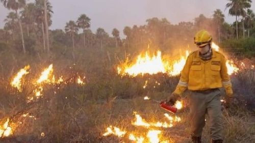 Santa Cruz reporta 14 incendios forestales en ocho municipios
