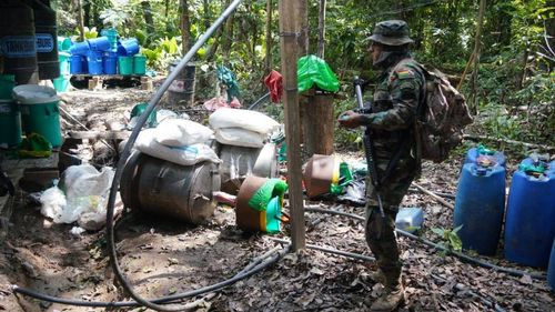 Policía antidrogas desmantela 26 fábricas móviles de elaboración de cocaína en Chapare
