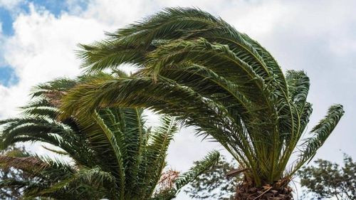 Santa Cruz se prepara para una semana con vientos intensos y altas temperaturas 