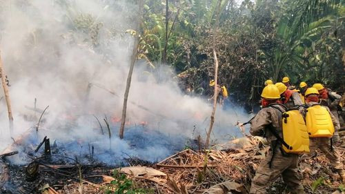 Seis días sin incendios forestales, pero la alerta roja persiste