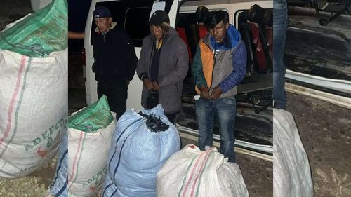 Operativo policial desarticula tráfico de marihuana: 46 kilos incautados y tres detenidos