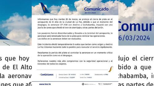 BOA suspende vuelo de La Paz a Cochabamba debido a incidente con una jauría de perros en la pista del aeropuerto