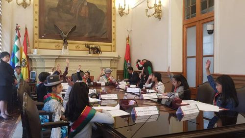 Dos leyes fueron aprobadas por el Concejo infantil que sesionó por primera vez de manera formal