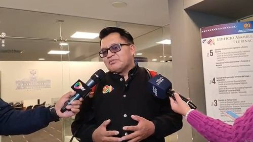  Diputado Cabezas: &quot;El temor de Arce Catacora es enfrentarse a Evo Morales&quot;