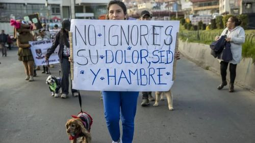  Marcha en La Paz por los derechos de los animales: Llamado a la conciencia y acción
