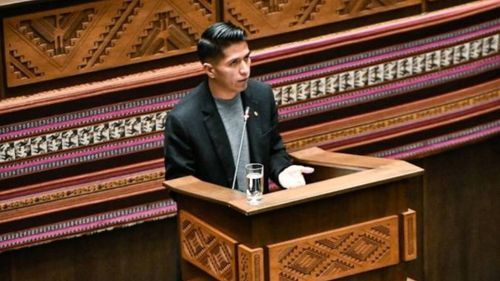 Tribunal Constitucional suspende competencia de Andrónico para la sesión de Asamblea