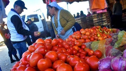 El tomate y cebolla bajará de precio, y se garantiza abastecimiento de arroz