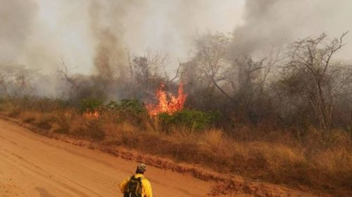 Emiten alerta naranja por riesgo de incendios forestales en 74 municipios