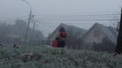 Chile bajo cero: Anuncian heladas en nueve regiones