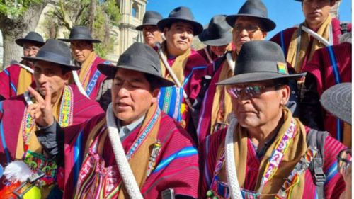 Campesinos de La Paz rechazan marcha arcista por instrumentalización