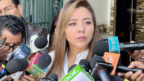 ¿Gobierno declarará desastre por incendios? Viceministra Alcón dice que “no se descarta ninguna acción”