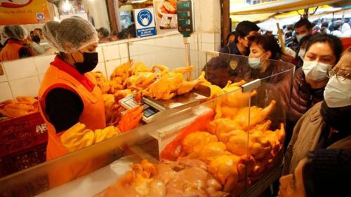ADA advierte crisis en la producción de carne de pollo para 2025