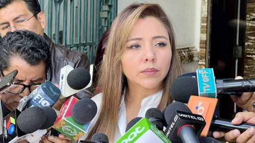 Alcón afirma que el MAS primero construirá el nuevo plan de gobierno y después definirá las candidaturas