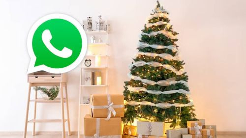 Cómo desocupar WhatsApp en minutos para tomar todas las fotos y videos este 24 de diciembre