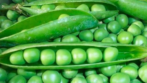 Con un respaldo científico sólido, expertos de Harvard recomiendan consumir arvejas al menos cuatro veces a la semana