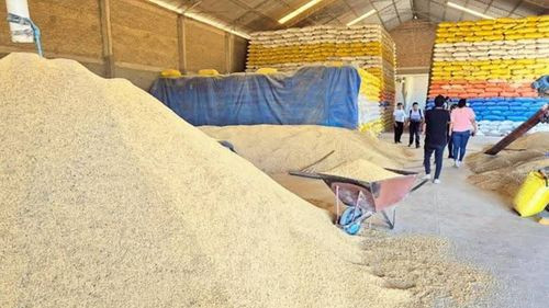 El 71% del arroz que consume el país proviene de Santa Cruz