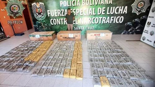 En operativo de la Felcn incautan más de 226 kilos de marihuana