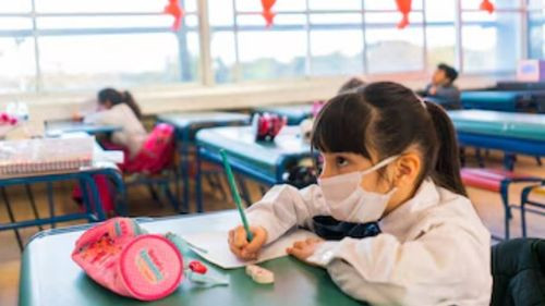 Retorno a clases escolares: ¿Será obligatorio el uso de barbijo en Santa Cruz?
