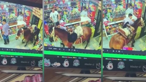 Un caballo causa revuelo al entrar a un supermercado en Chile