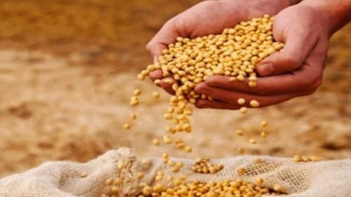 Productores de San Julián descartan bloqueo tras acuerdo para exportación de soya