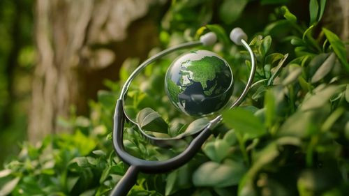 Hospitales verdes: innovación sostenible que transforma la medicina