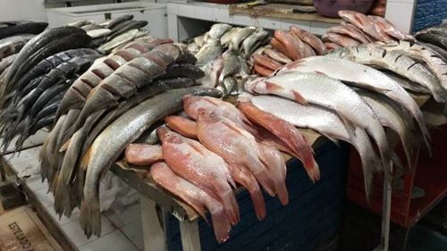 Sube el precio del pescado a pocos días de Semana Santa