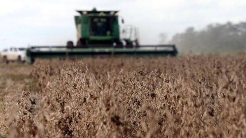 Campaña de invierno en riesgo: productores paralizan siembra de soya por falta de diésel en Santa Cruz