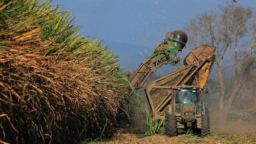 Foro Agropecuario 2025 invita a candidatos a debatir sobre el agro