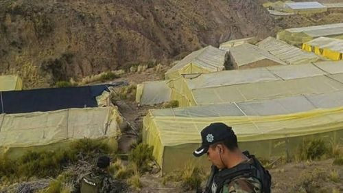 Regaban marihuana en Llallagua con agua de proyectos financiados por gobierno de Morales
