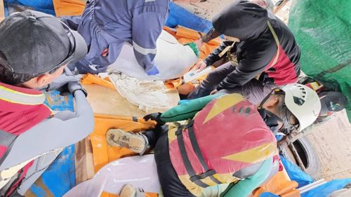 Así fueron rescatados 27 bufeos (delfines rosados) en Santa Cruz