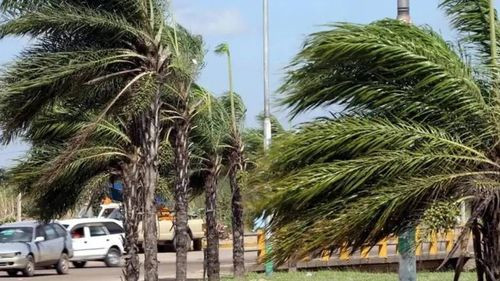 Rige alerta porque las ráfagas de vientos podrían alcanzar los 70 kilómetros por hora