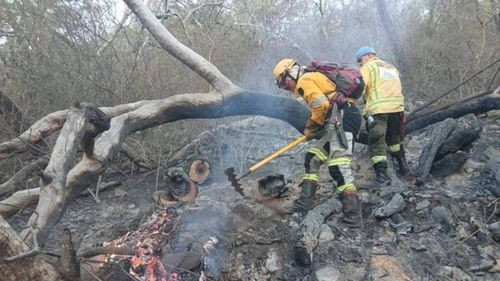 Incendios forestales: Gobernación cruceña emite declaratoria de Alerta Naranja