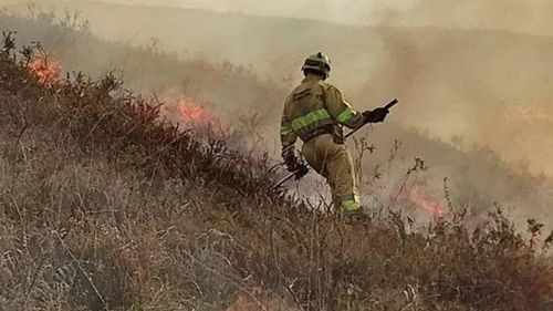 Bolivia registra 89 focos de calor en cinco departamentos y dos incendios forestales en Pando y Santa Cruz