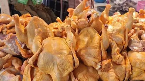 Pollo: El precio del kilo en el eje central oscila entre Bs 23,50 y Bs 25