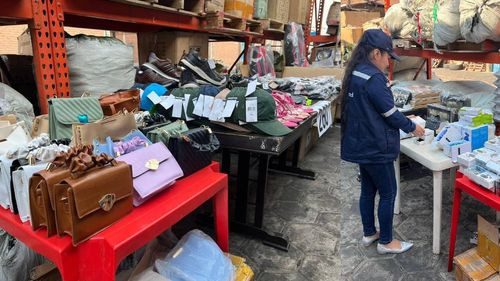 Aduana dispone 10 toneladas de mercancía para Subasta Electrónica en Santa Cruz 