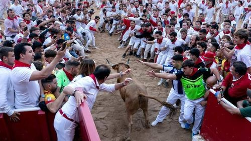 Seis Heridos en el Primer Encierro de Toros de San Fermín en España