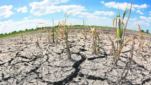 Impacto económico del cambio climático en Bolivia: Pérdidas estimadas del 16% en el PIB